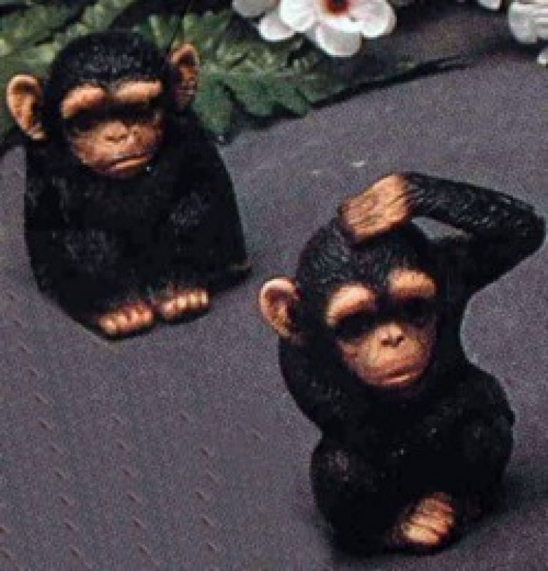 Monkeys 2
