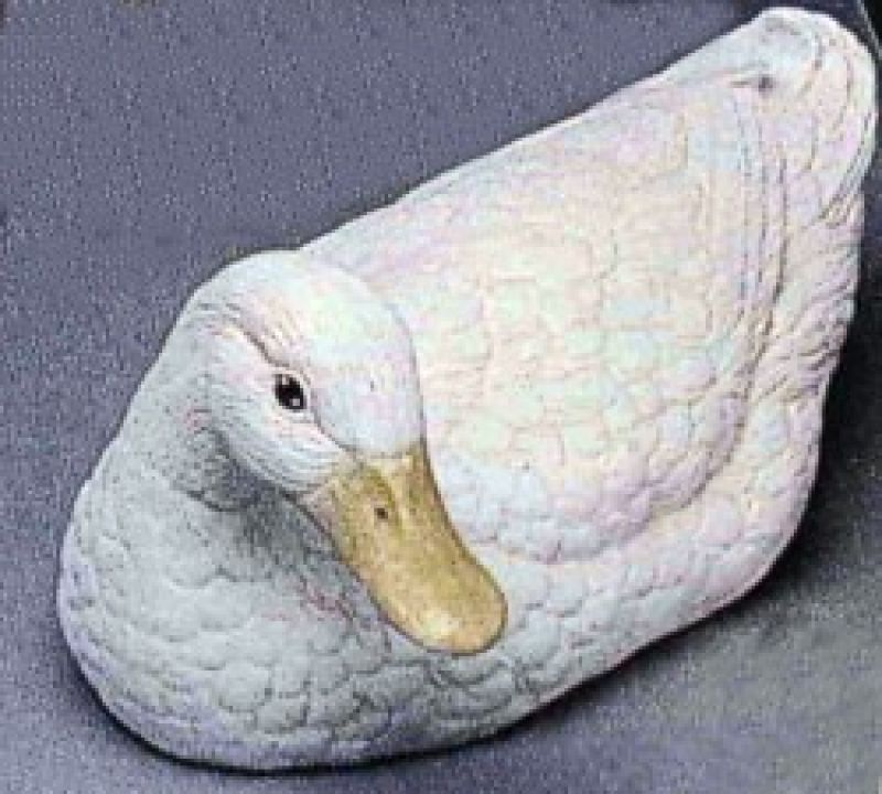 Duck 9' Sitting