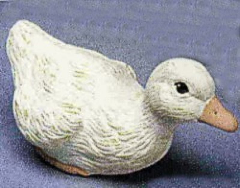 Duckling Sitting 6