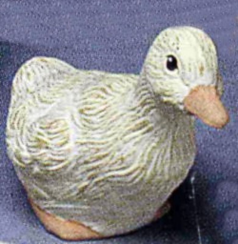 Duckling Peeping 6