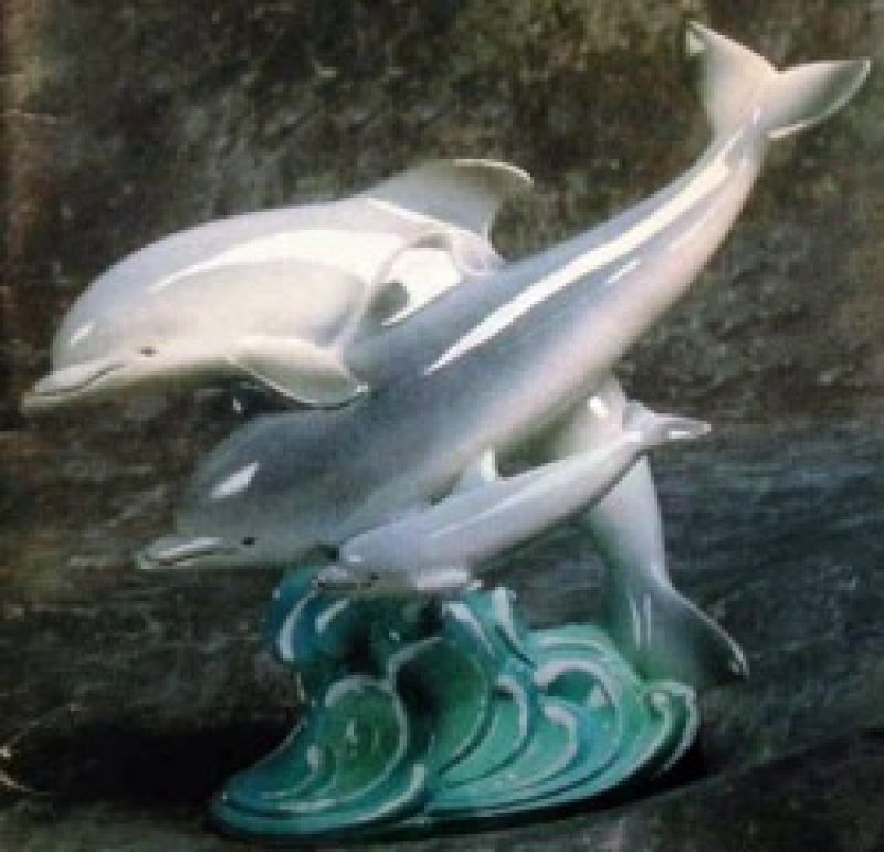 Dolphin Family #1