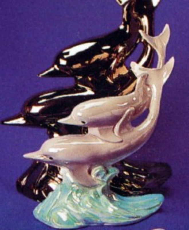 Dolphin 9