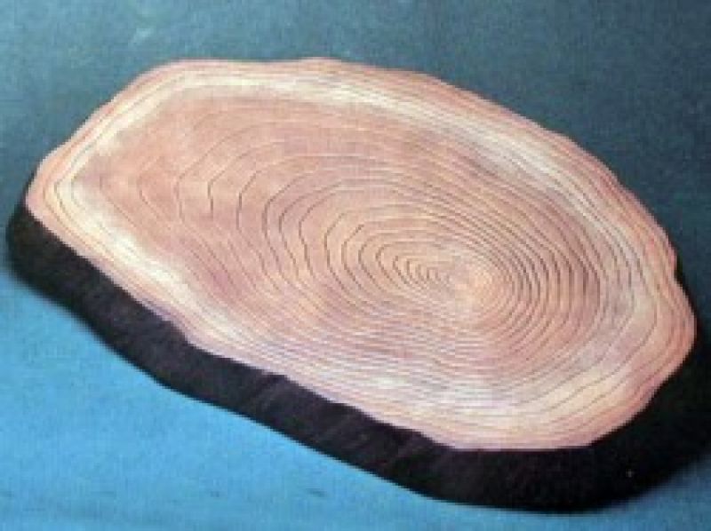 Wood grain Base
