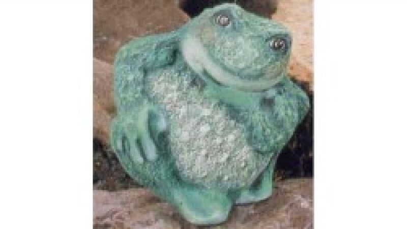 Frog Small