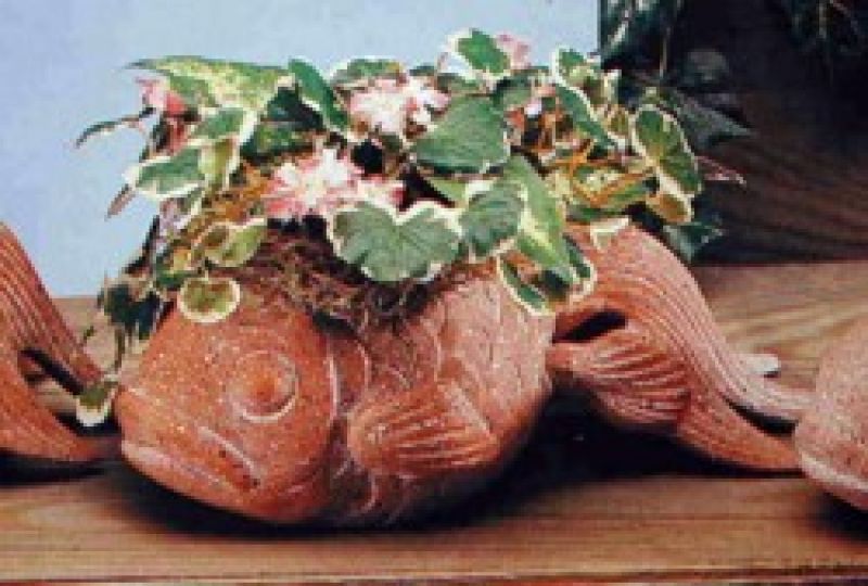 Koi Planter Med