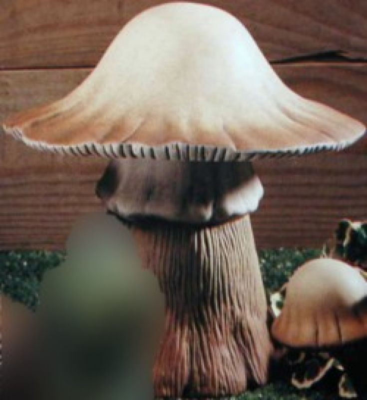 Mushroom Large