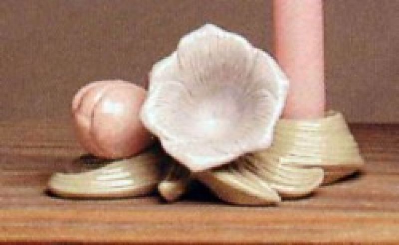 Tulip Candle Holder