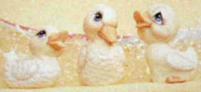 Ducks Small 3