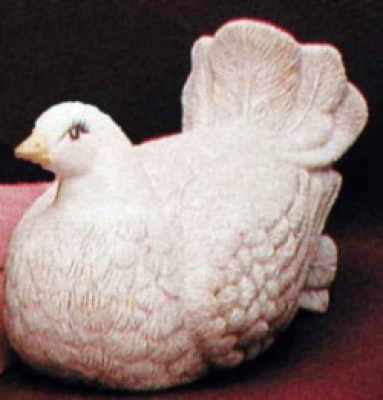 Dove 7.5