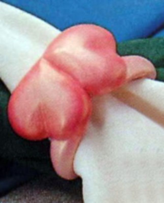 Heart Serviette Rings (set of 2)