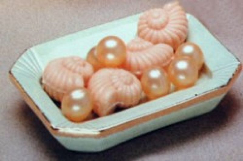 Soap Dish