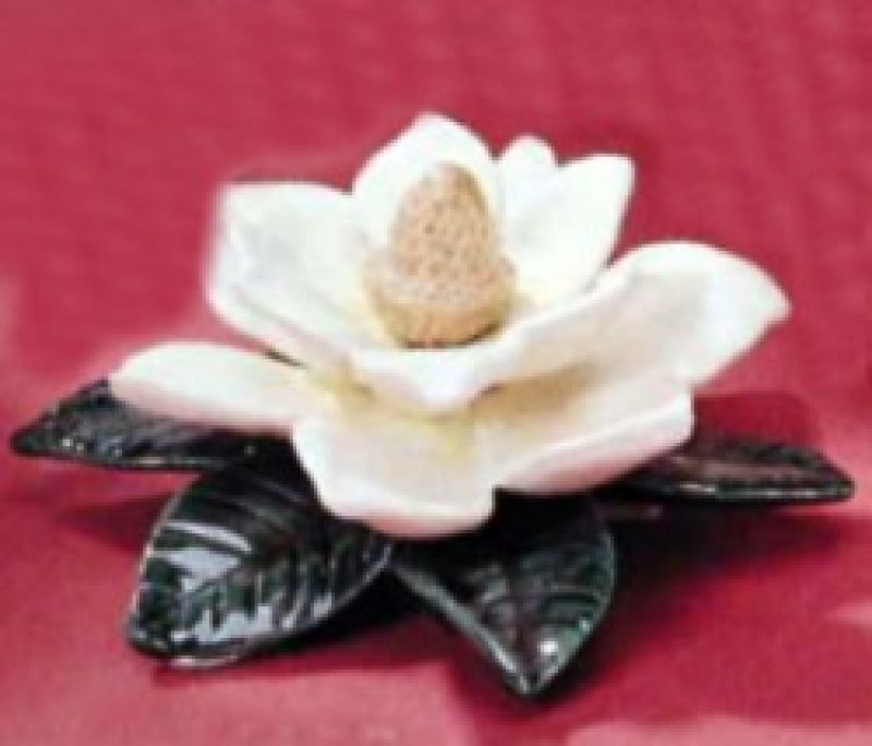 Magnolia Flower