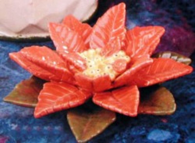 Poinsettia Flower
