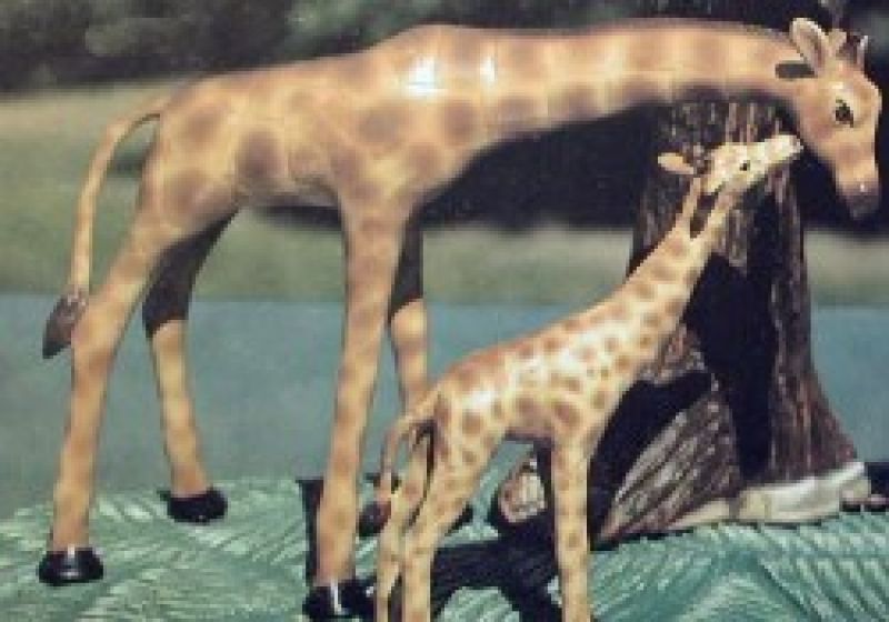 Mother Giraffe only