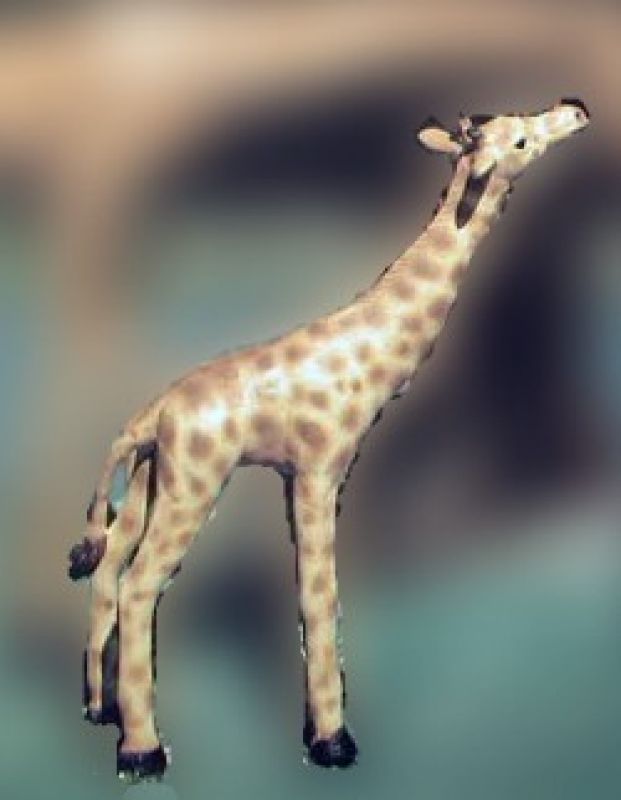 Baby Giraffe only