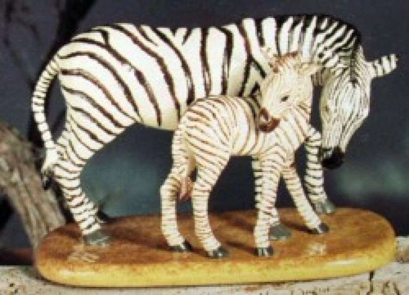 Zebra With Baby
