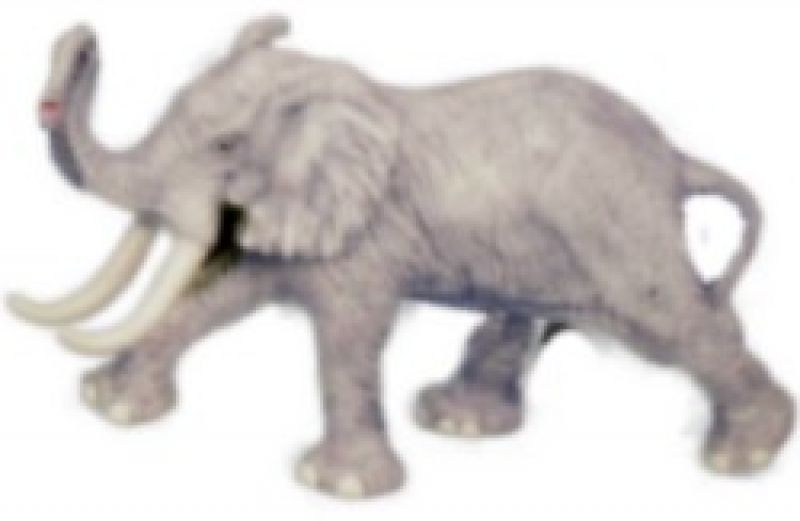 King Elephant