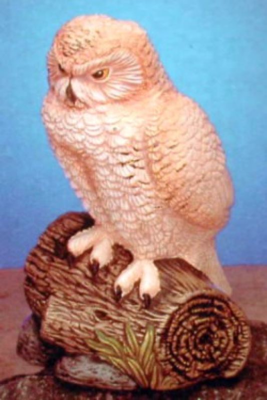 Snowy Owl
