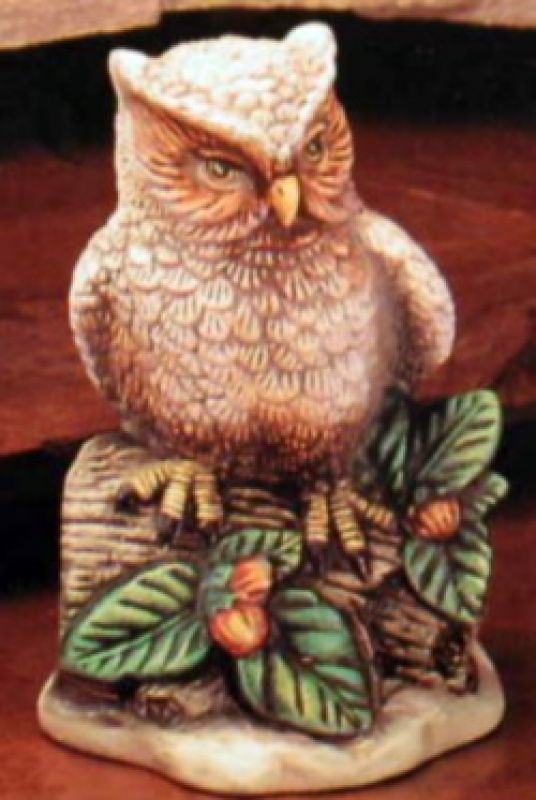 Owl