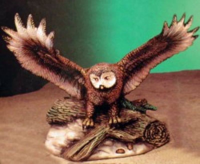 Barn Owl
