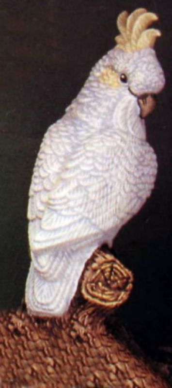 Cockatoo branch sitter
