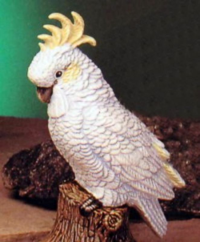 Cockatoo branch sitter