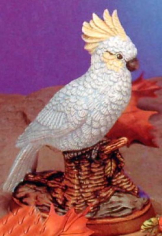 Cockatoo