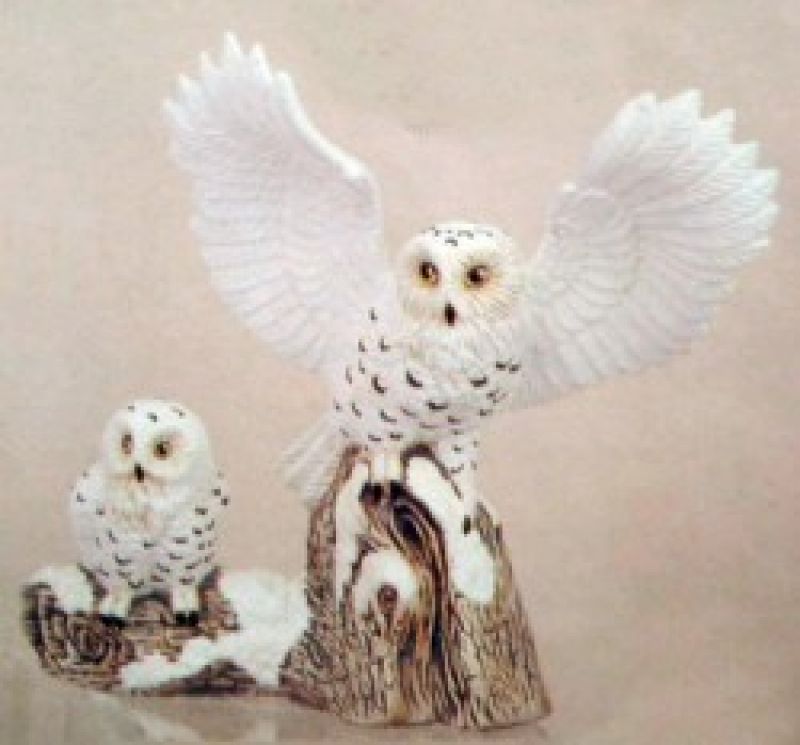 Snow Owl With Baby