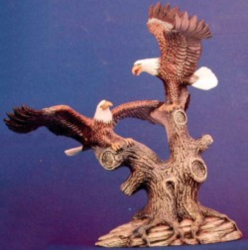 Bald Eagles 11