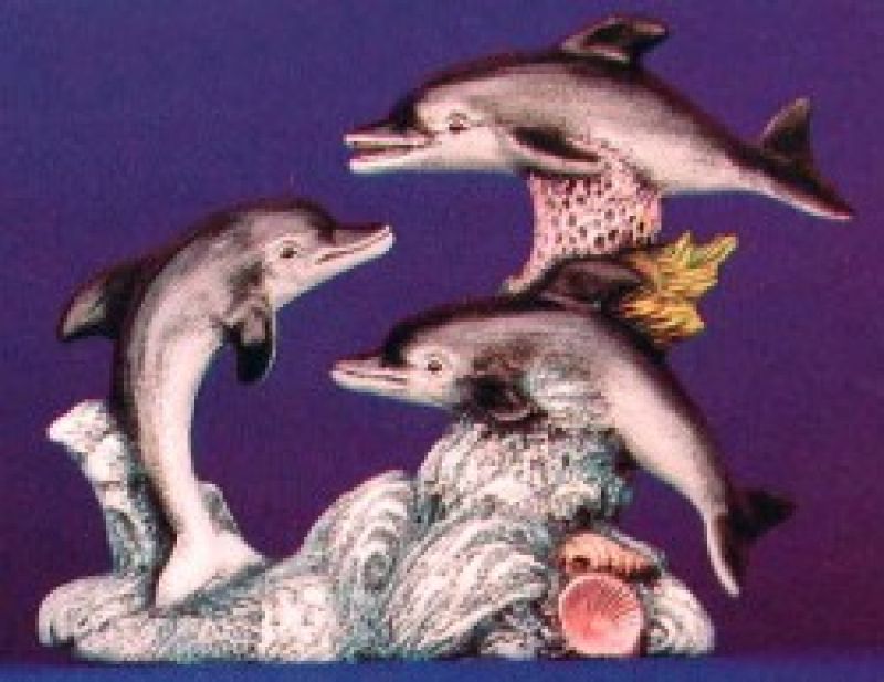 3 Dolphins 7