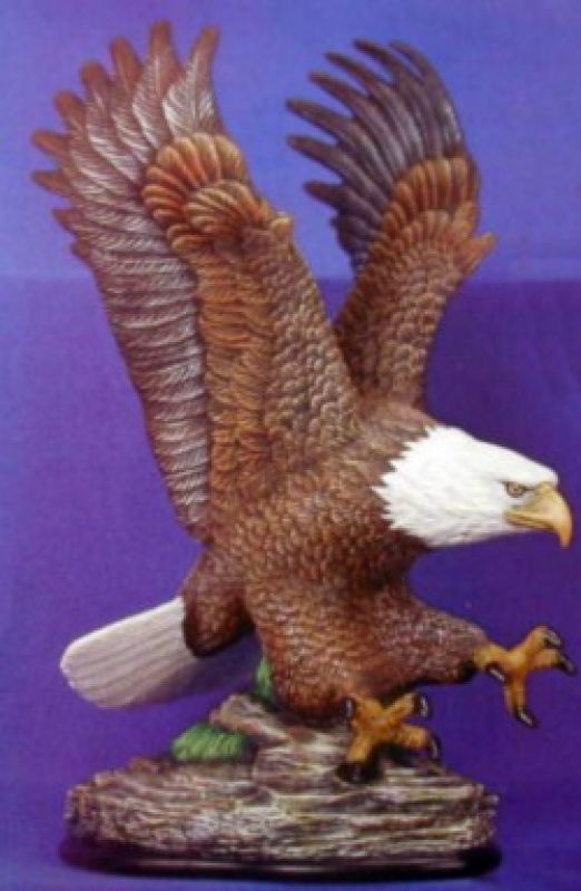 Eagle Master Of The Sky