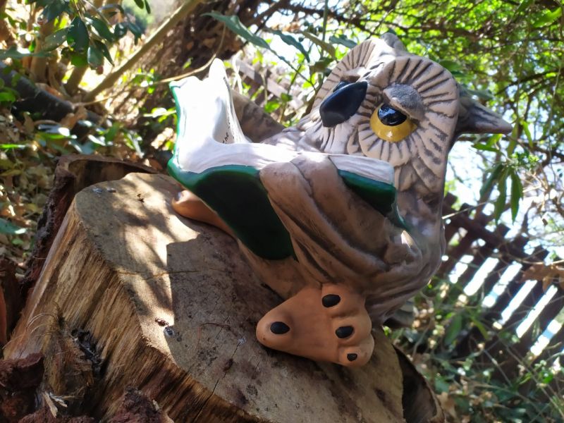 Owl With Book Large 30cm