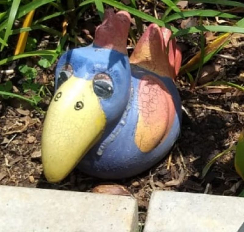 Mad Bird Medium