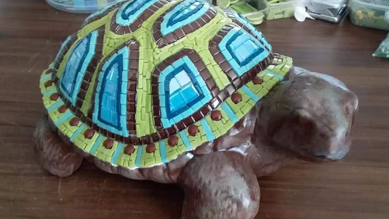 X Large Tortoise
