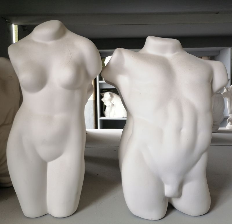 Male Torso only