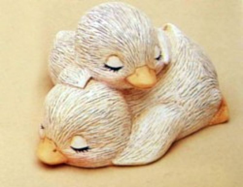 Duck Cluster