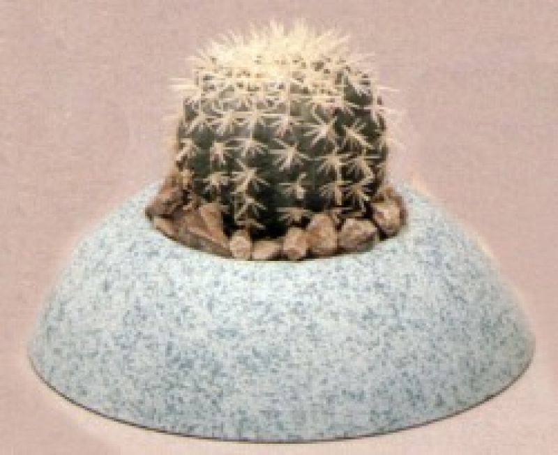 Cactus Planter