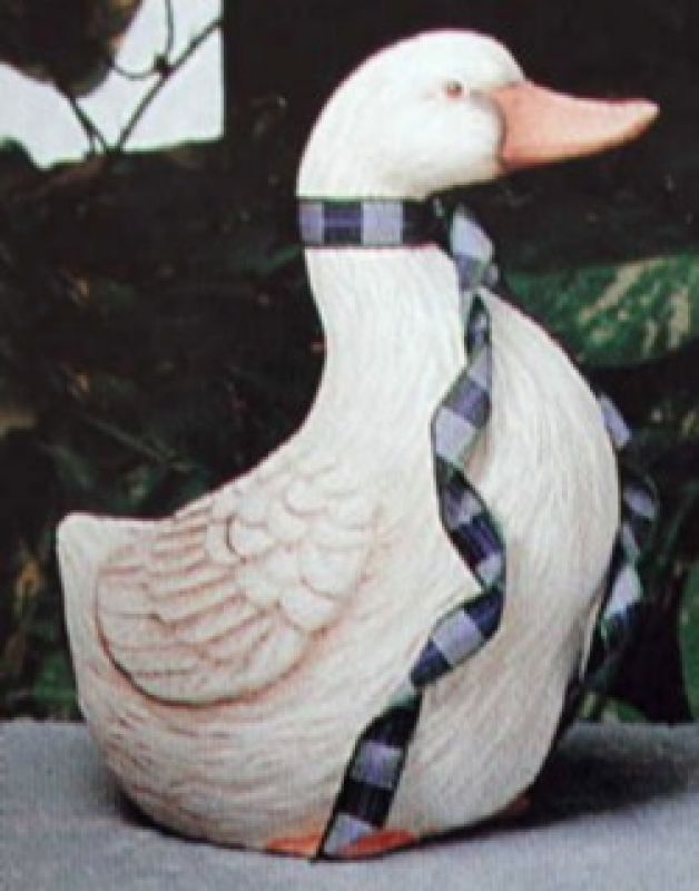 Duck With Head Up