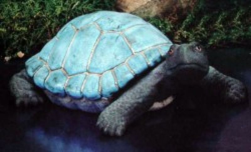 Realistic Turtle