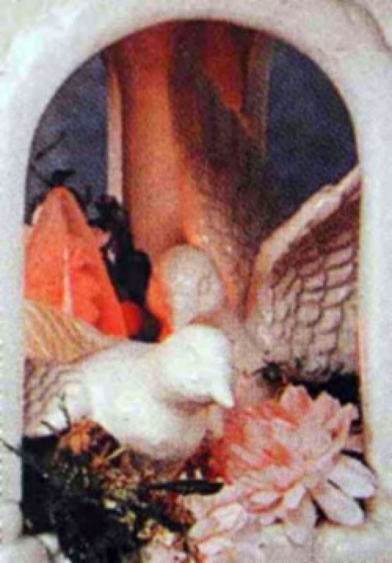 Dove Feeding - Each