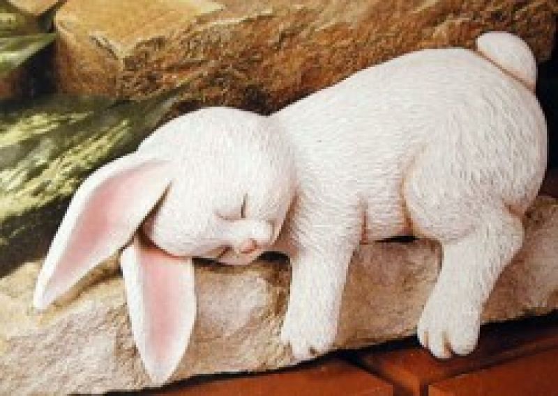 Cute Shelf Bunny