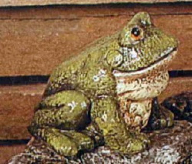 Frog Sitting Small
