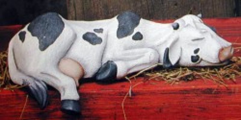 Shelf Cow Sleeping