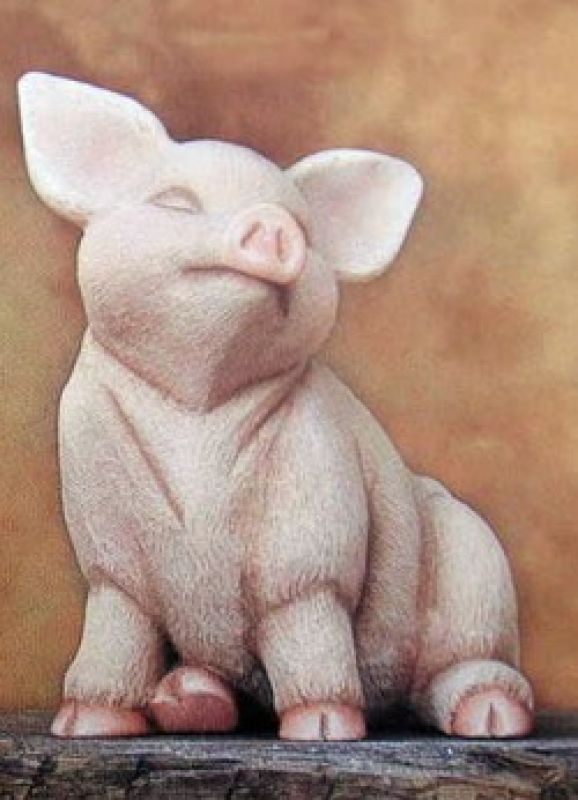 Pig Sitting