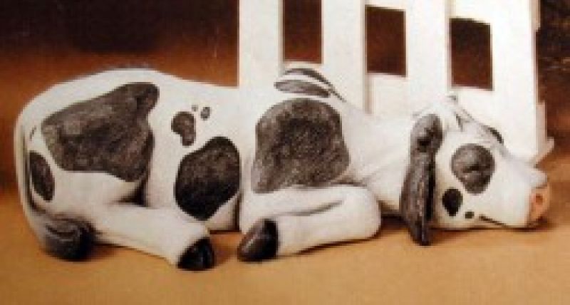 Cow Lying Flat