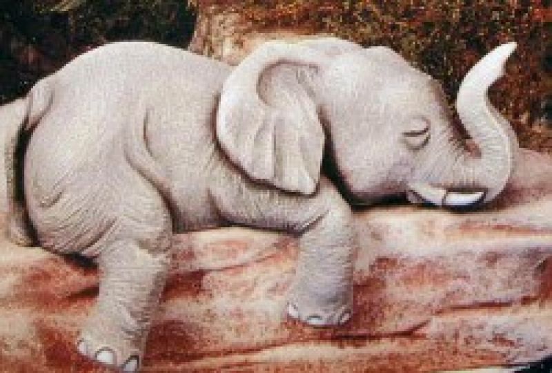 Shelf Elephant Sleeping
