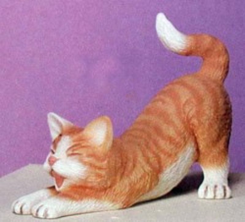 Kitten Stretching