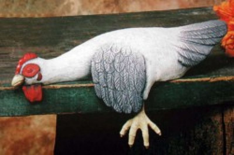 Shelf Chicken Sleeping