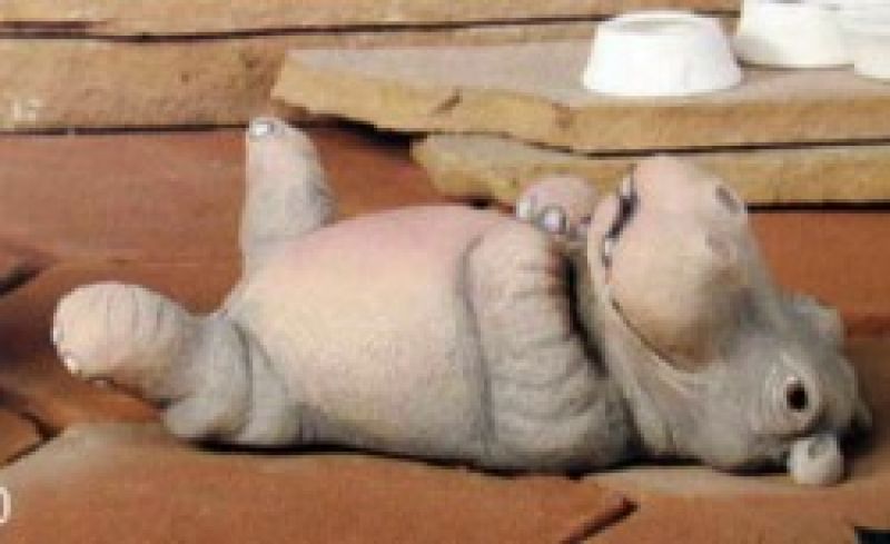 Hippo On Back