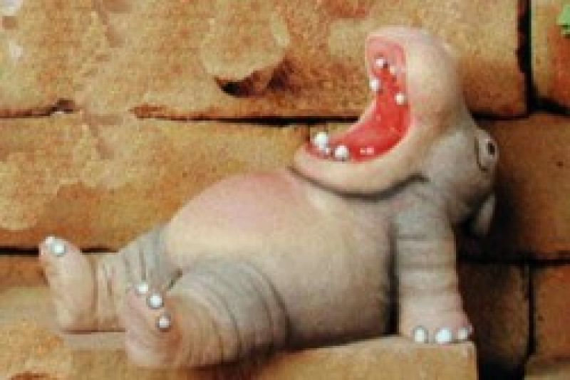 Hippo Yawning